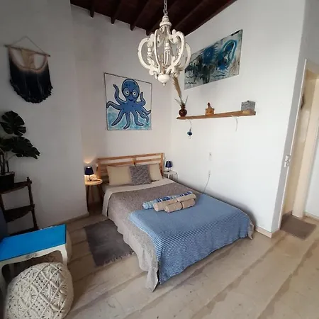 Octopus Blue Apartment